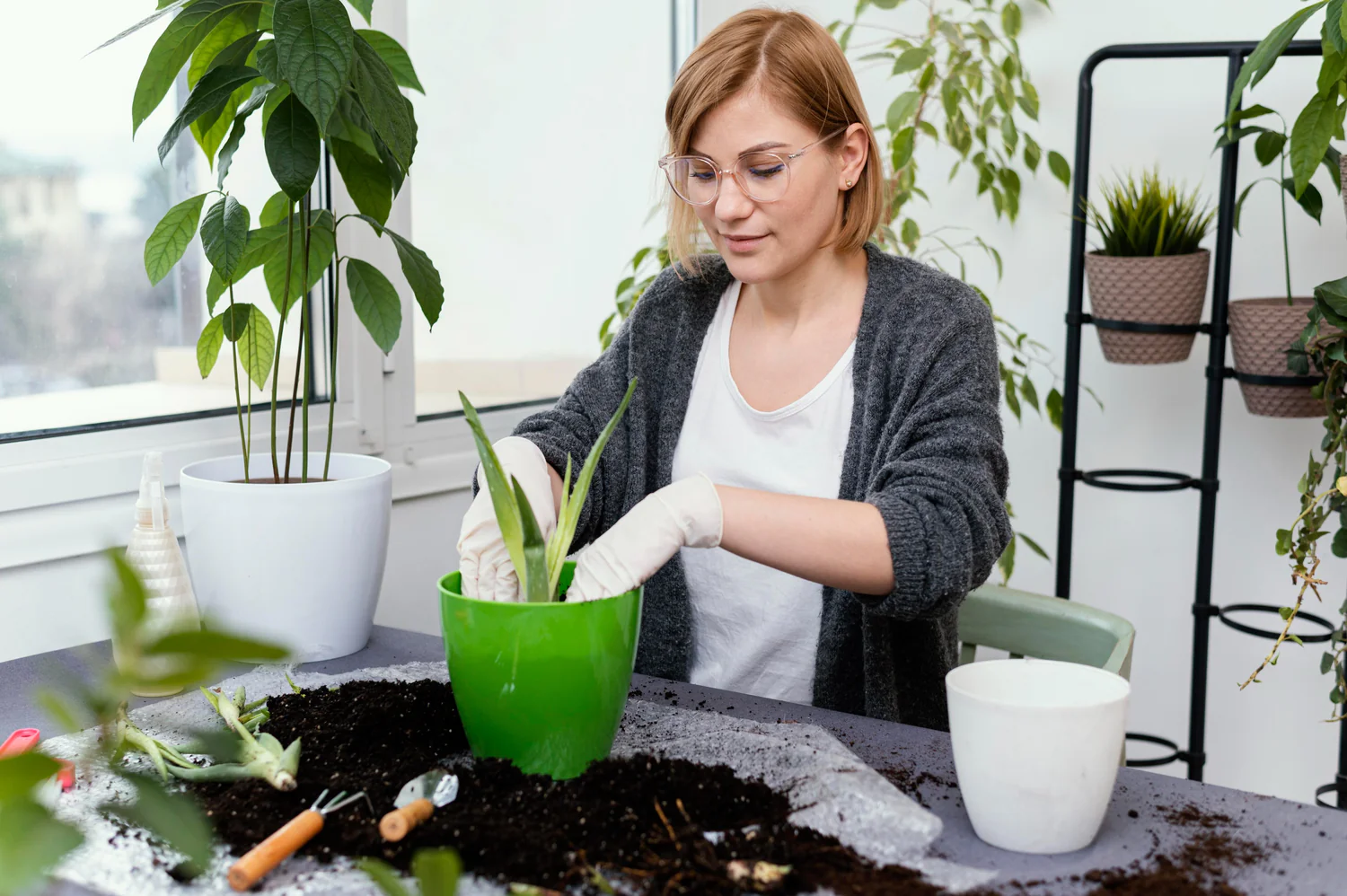 Gardening_tips
