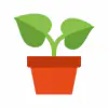 potted-plant-100x100