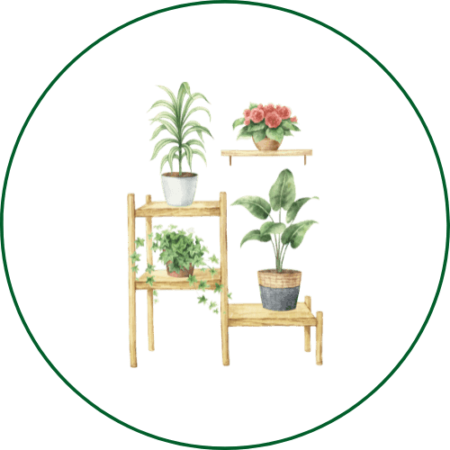 Air Purifying Plant