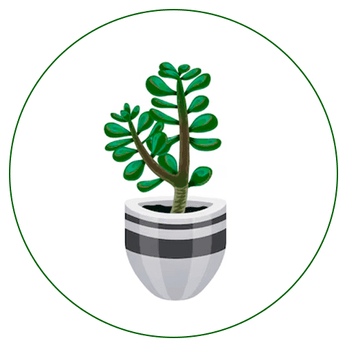 plant-2nd (1)