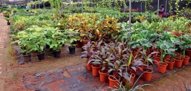Khaadi Nursery